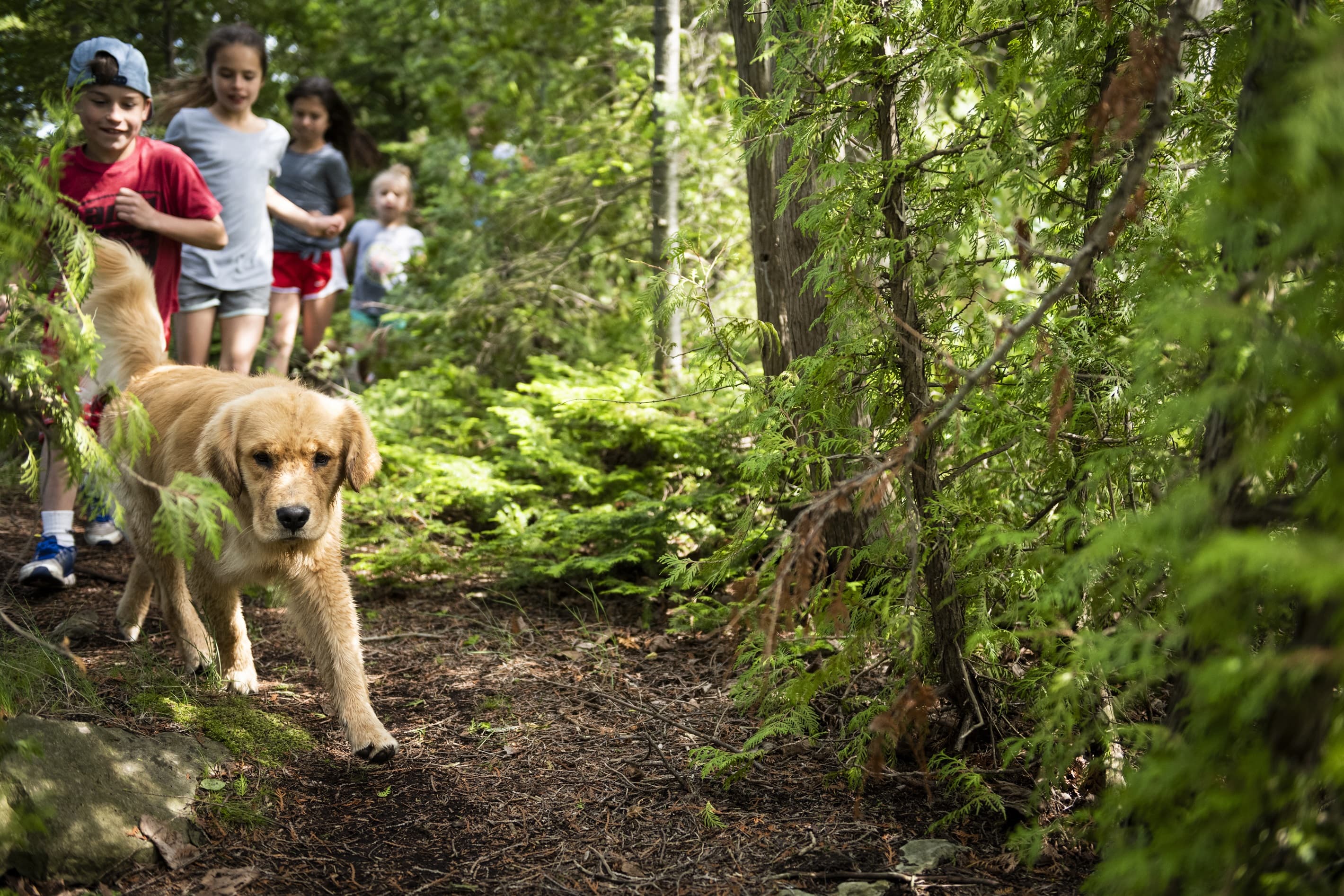 We promise your kids (and dogs!) will disappear for hours enjoying the trails on the peninsula, exploring and just being kids.