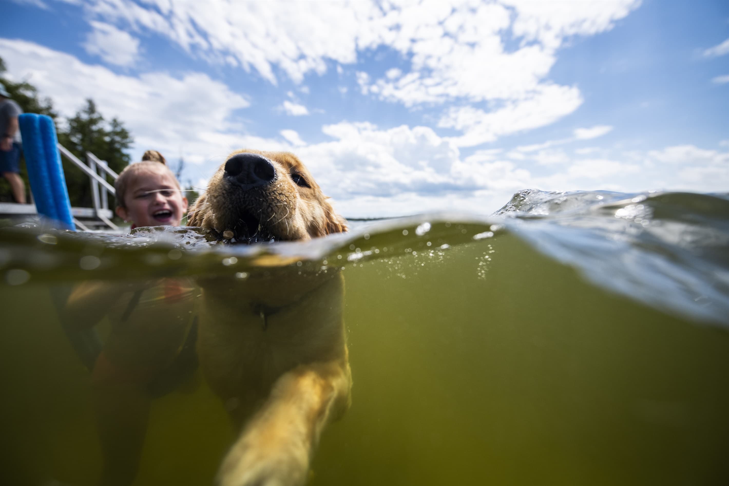 Don't leave your buddy home, the lake is his favorite place too!