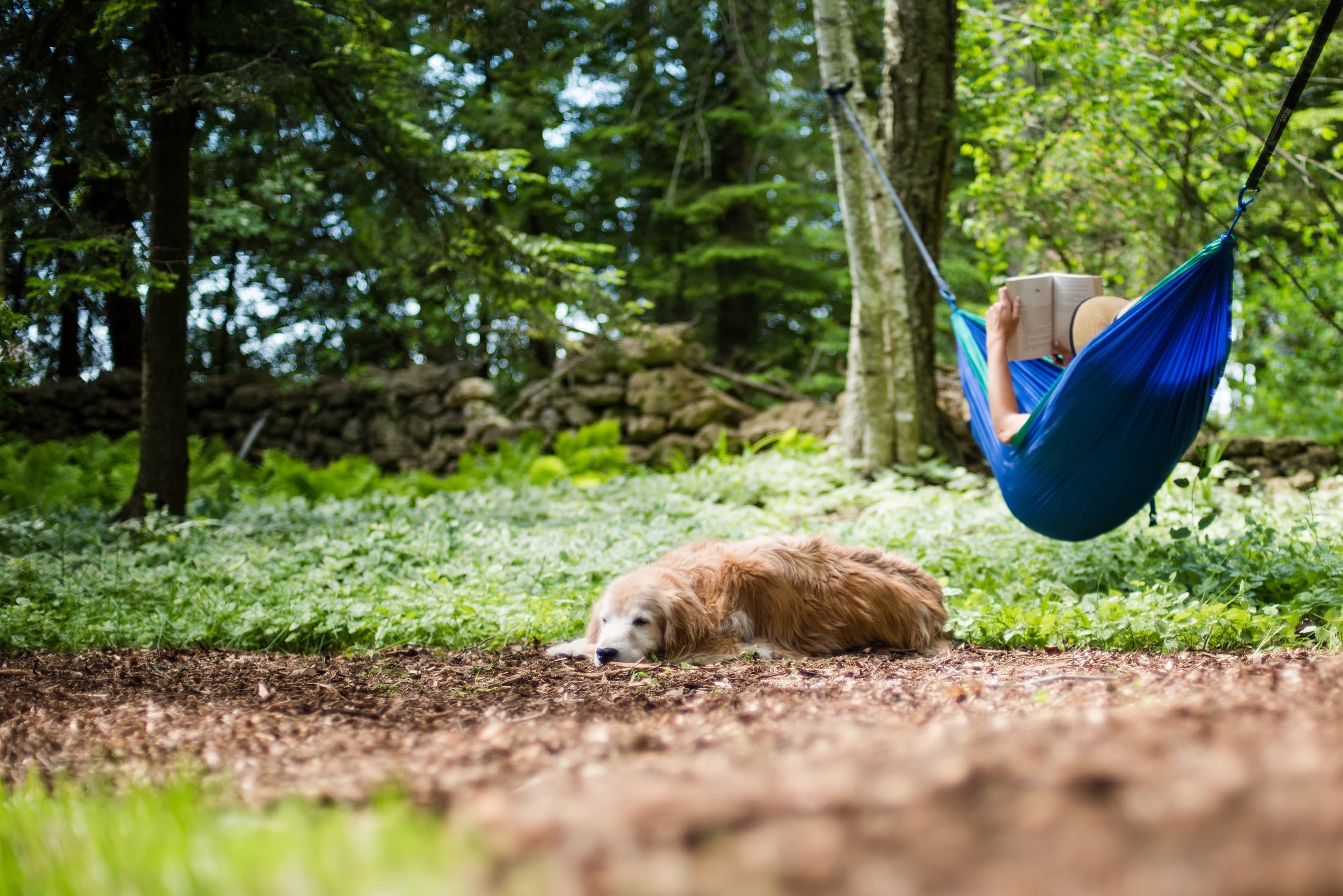 Bring your buddy and a favorite book and spend hours here, you'll thank us later.