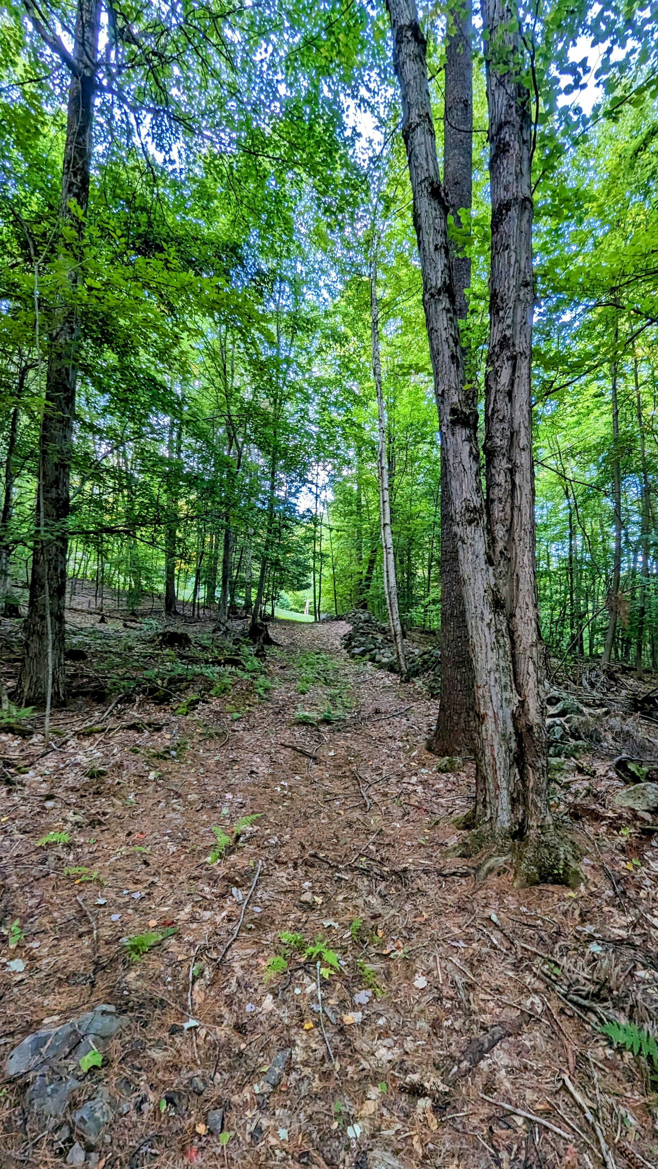 Gallery Image 18