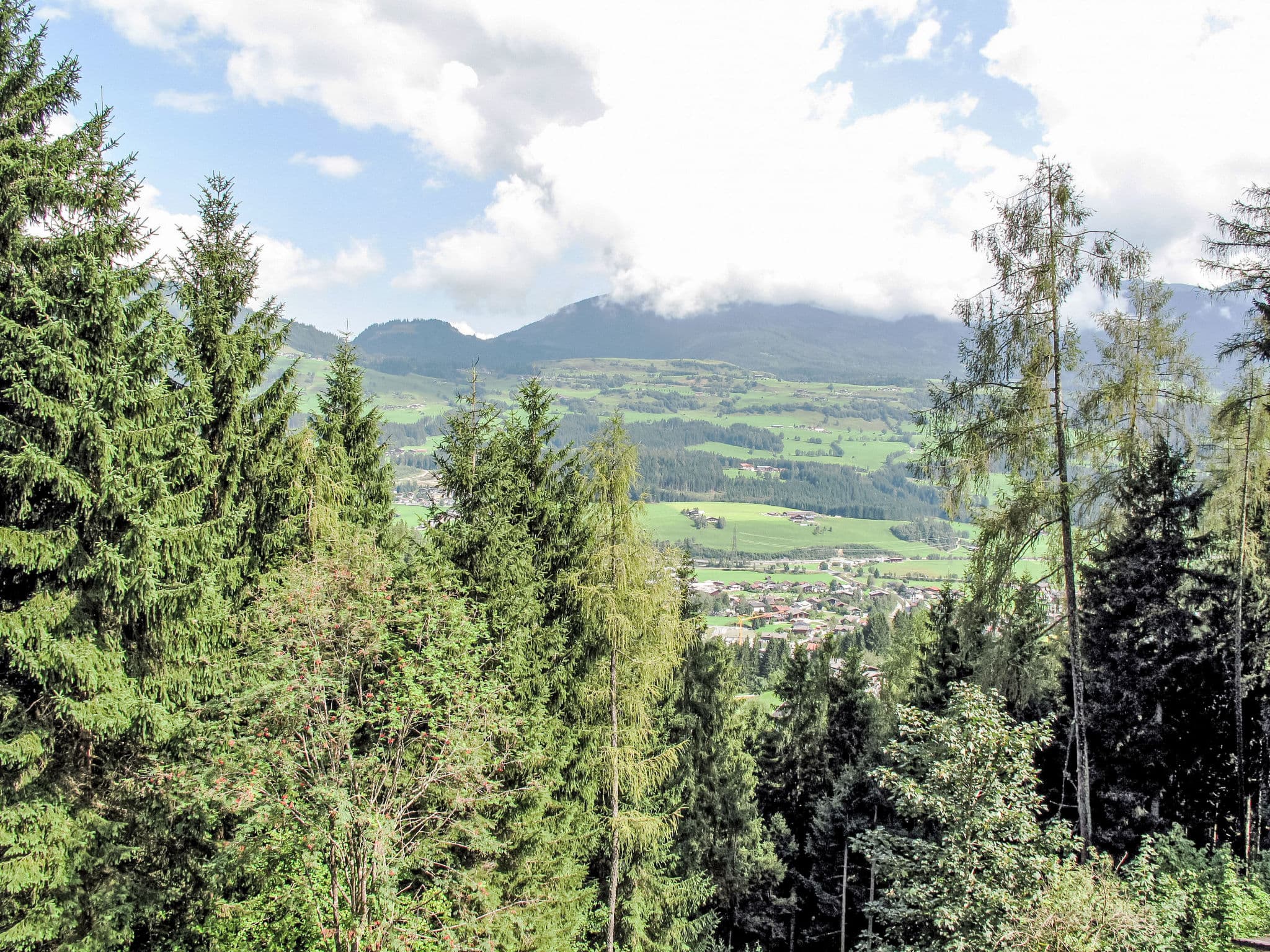 View