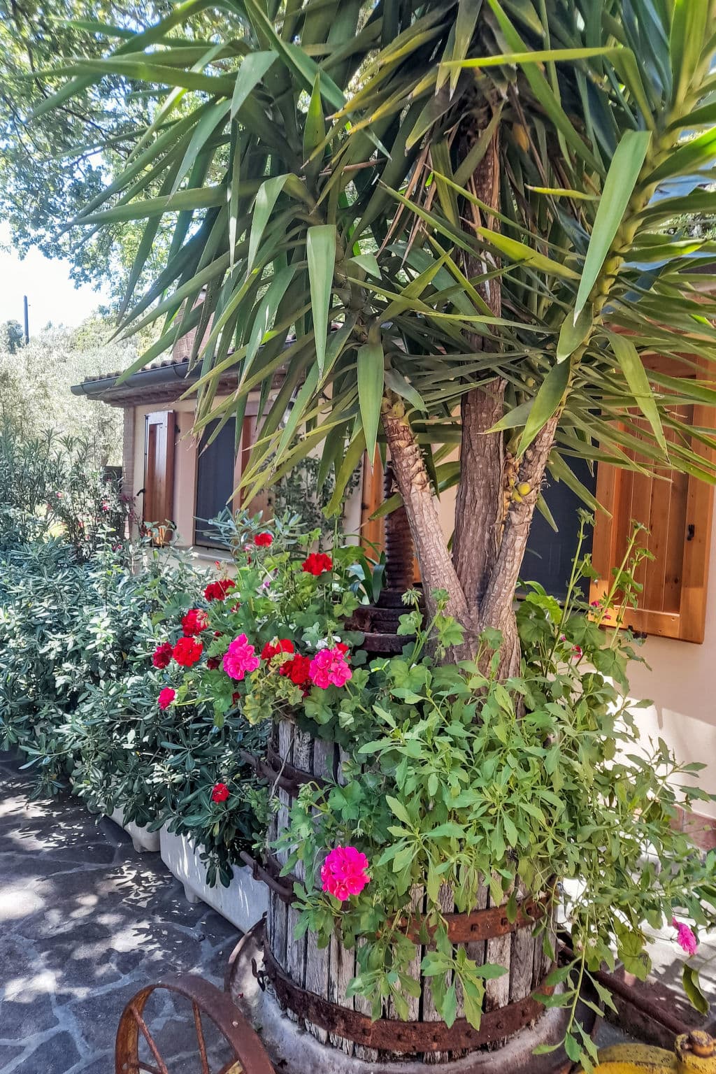 Terrace