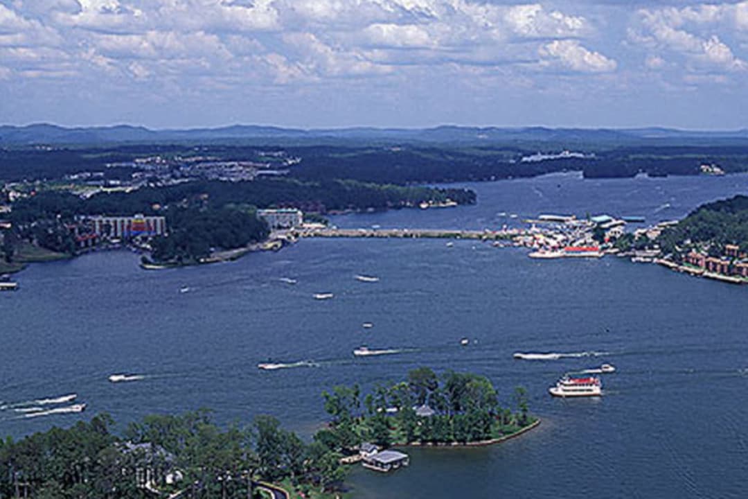 Large Image
