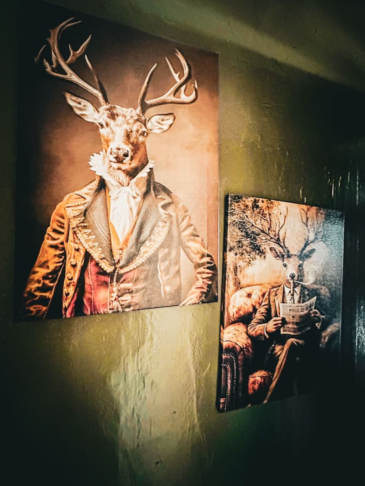 We might be hunting for Bigfoot, but we found this dapper stag instead!