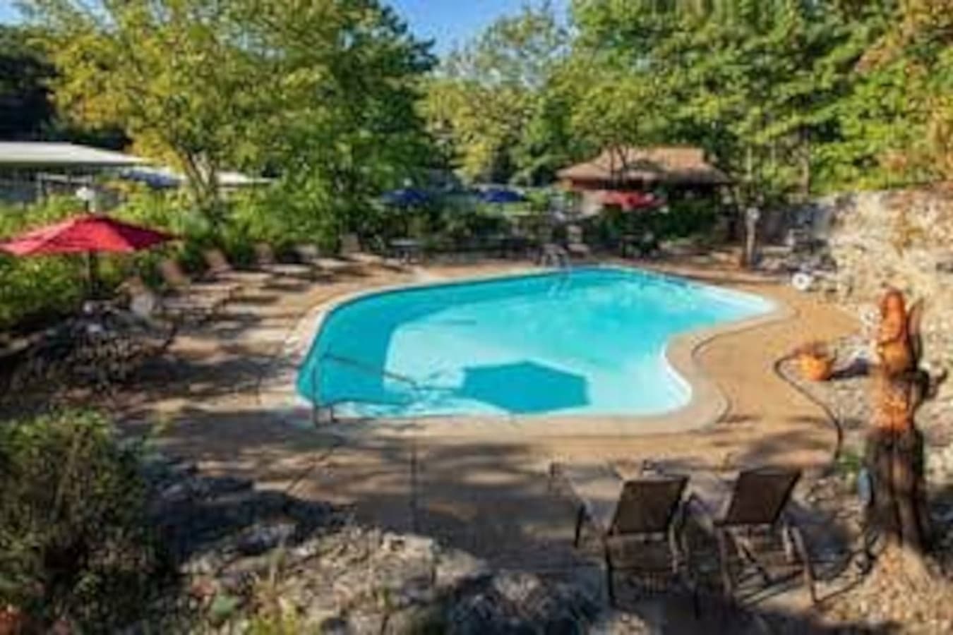 This inviting backyard features a free-form pool surrounded by lush greenery, perfect for relaxing and enjoying the outdoors. The pool area provides a tranquil escape with ample space for lounging and entertaining.