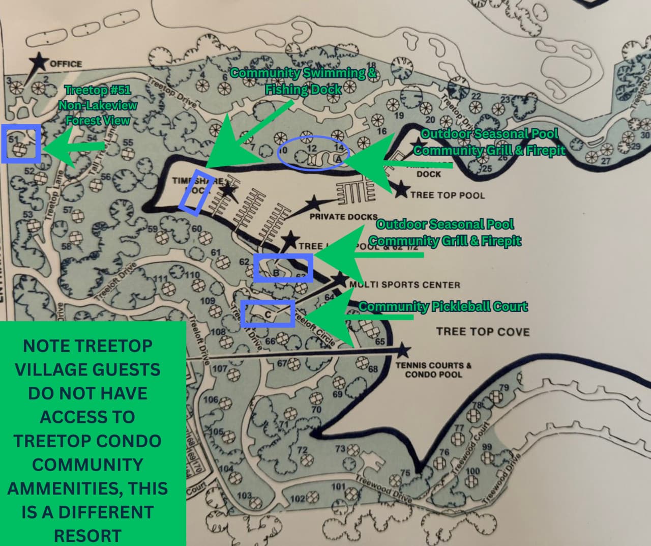 TREETOP51 (1).png