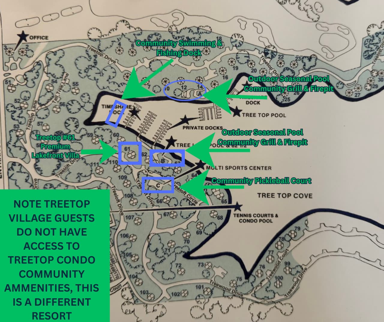 TREETOP61 (1).png