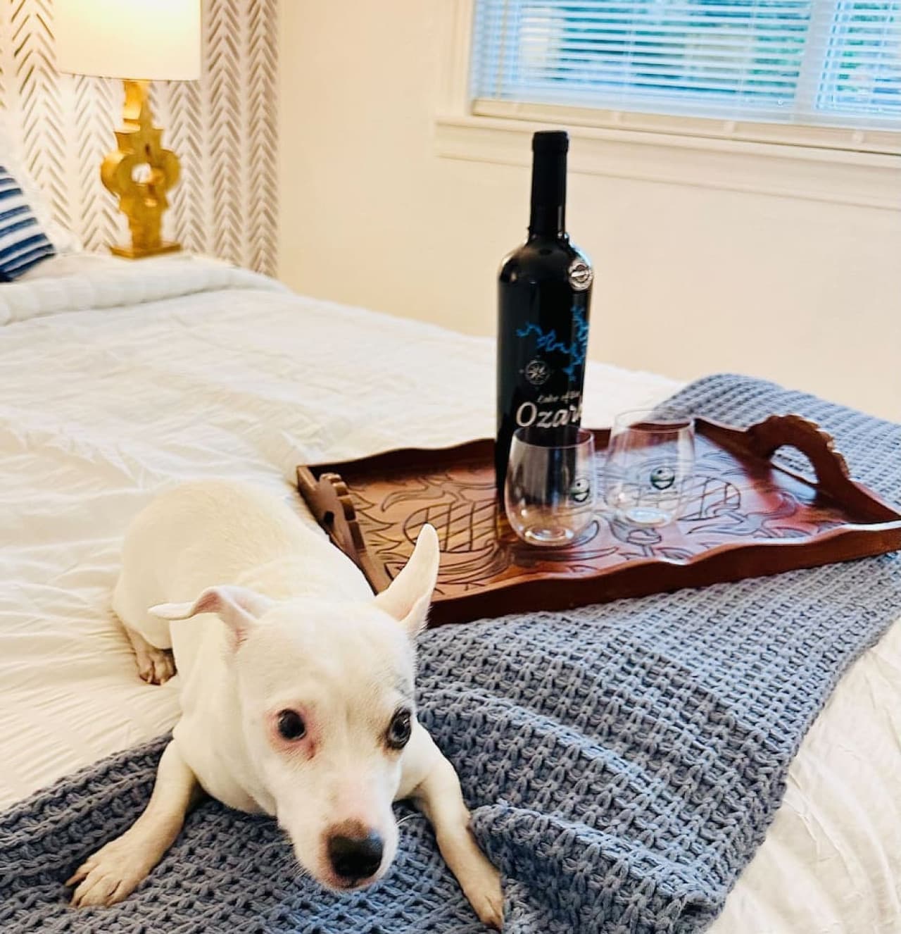 Your furry friends are welcome at Hickory Haven too!