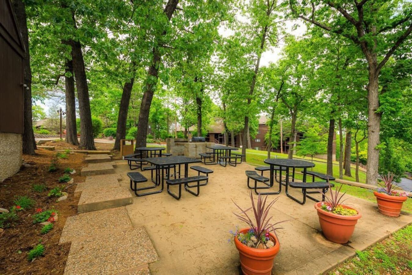 A well-shaded picnic spot with multiple tables, ideal for outdoor meals and gatherings.