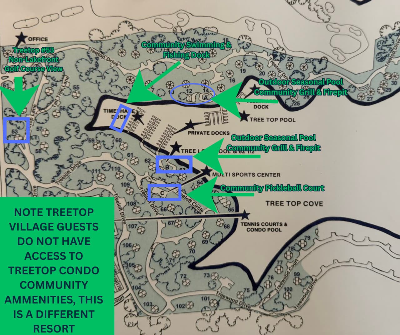 TREETOP53.png