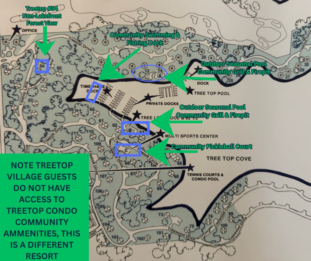 TREETOP54.png