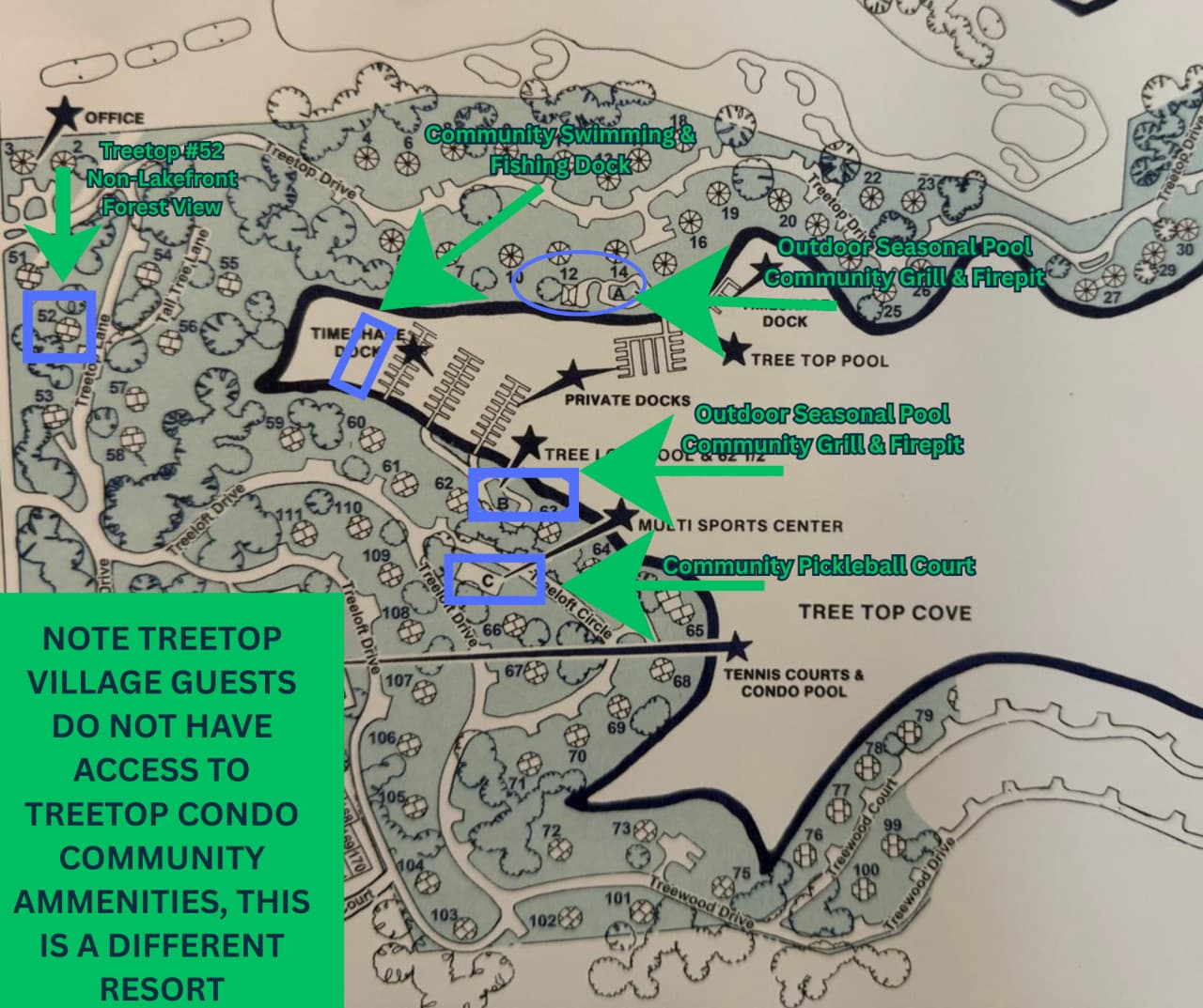 TREETOP52.png