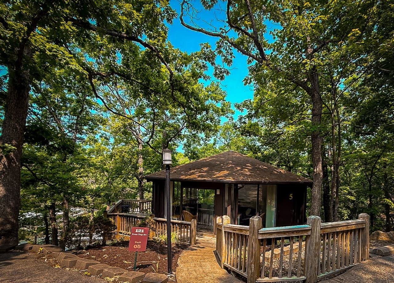Canopy Cove: where the forest meets the lake and relaxation begins.