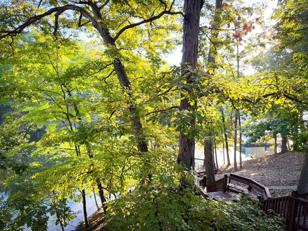Nestled in nature