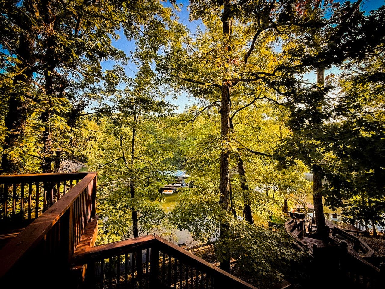 Quiet lake cove