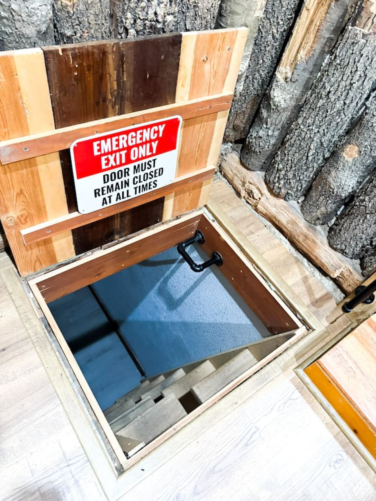 Secret bunk access with added safety features for peace of mind.