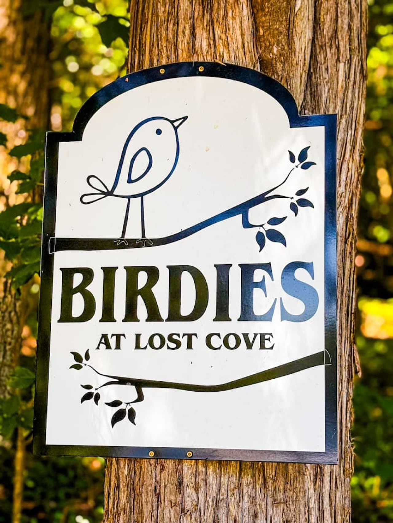 Welcome to Birdies at Lost Cove—where lake days turn into lifelong memories.