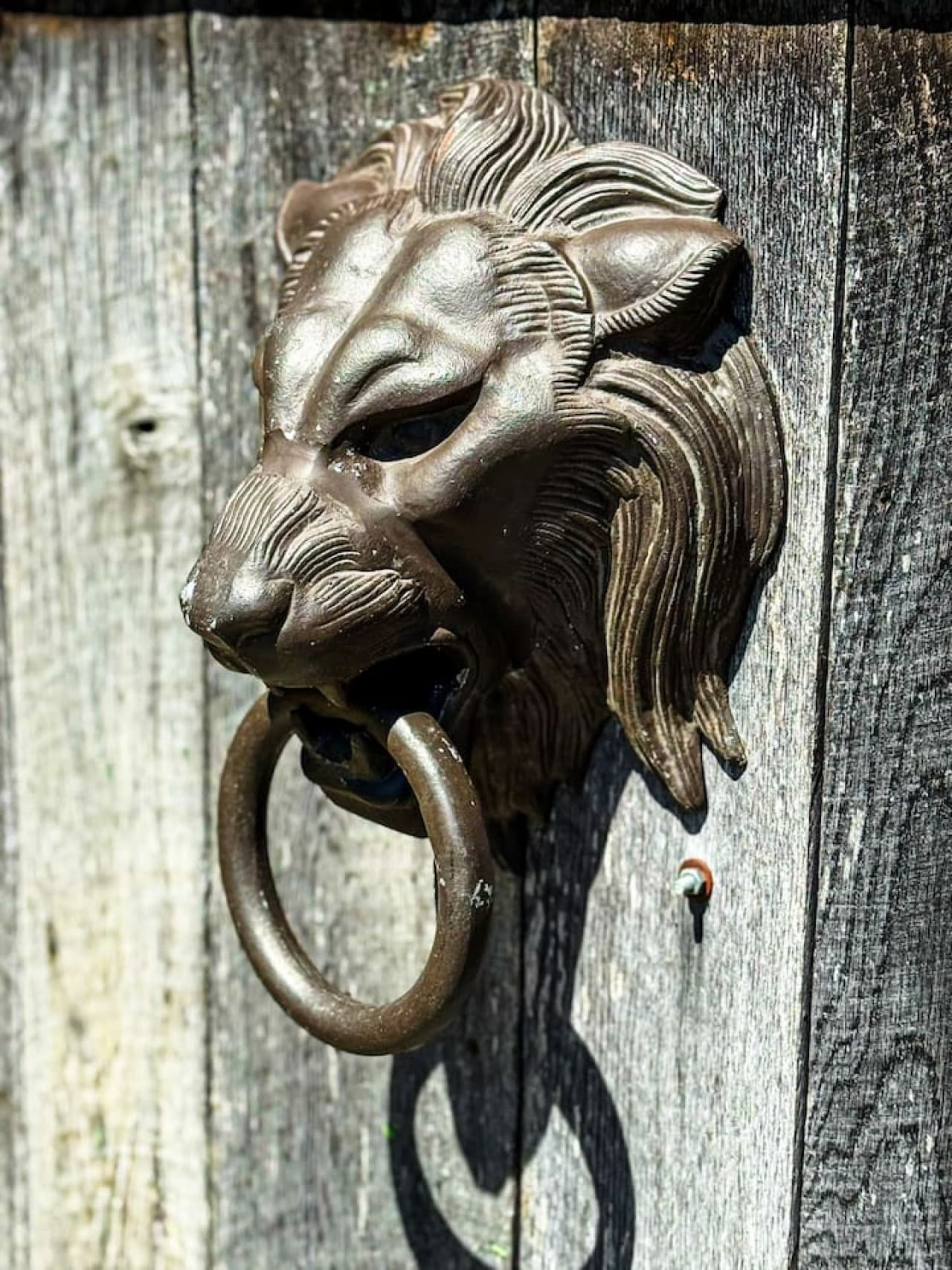 Gallery Image 72