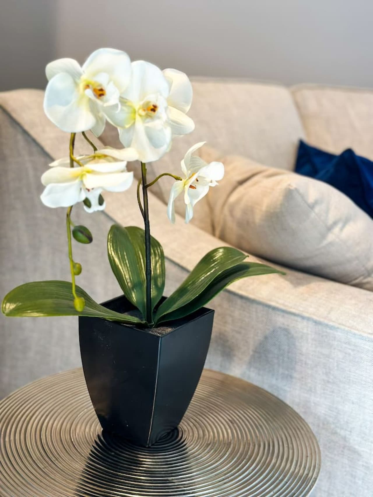 A touch of nature with a white orchid centerpiece, perfect for a serene living space.