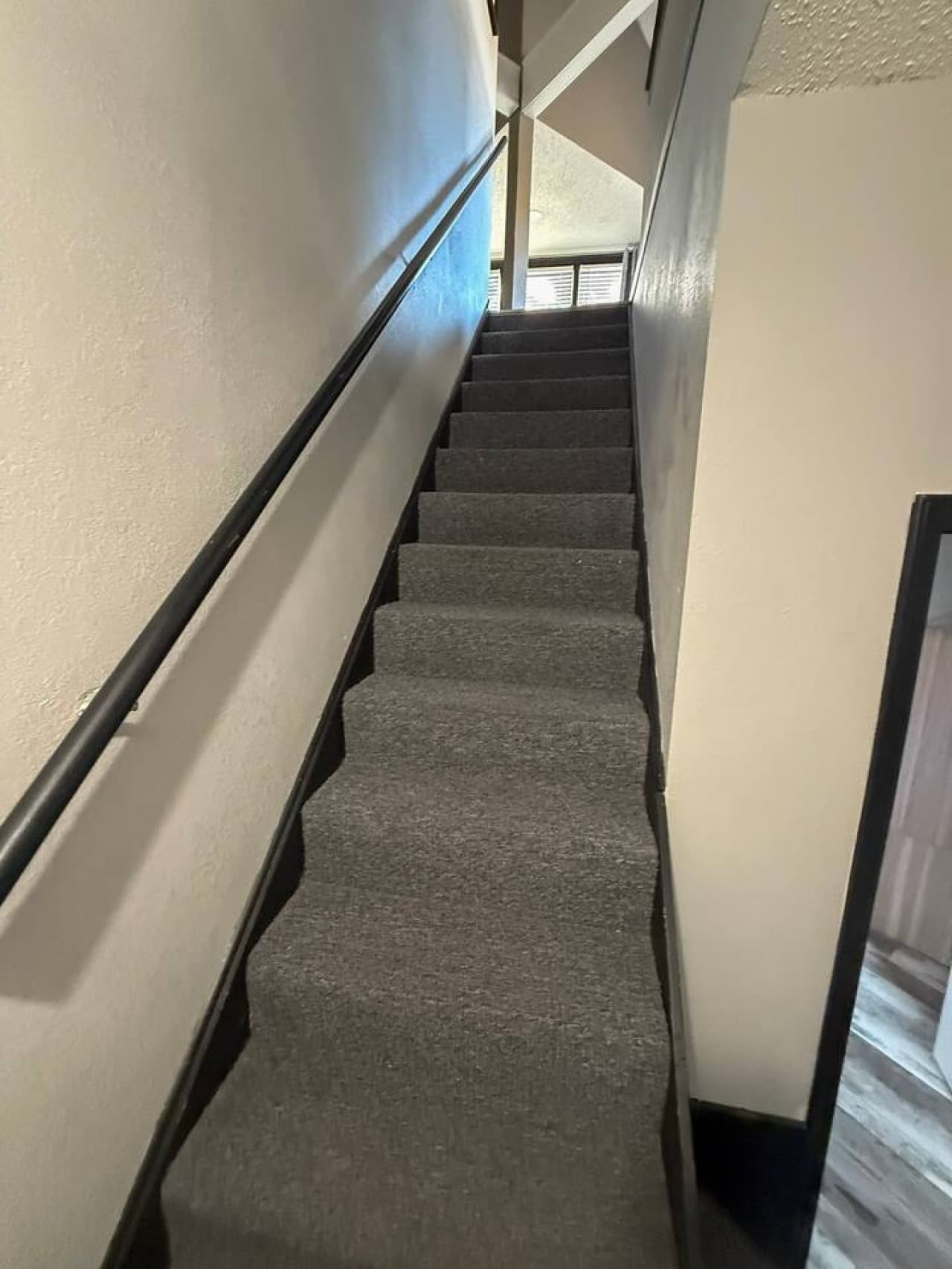 Carpeted stairs leading to the upper loft bedroom.