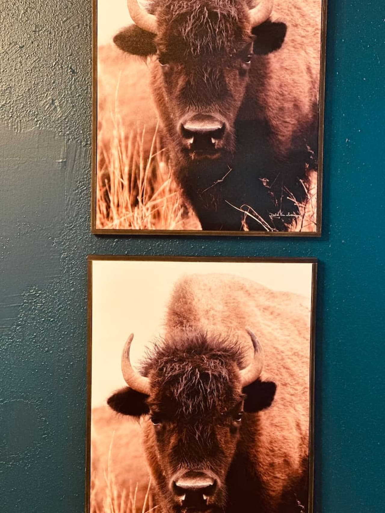 Bold buffalo portraits bring strength and spirit to the walls—anchoring the room in wild western roots.
