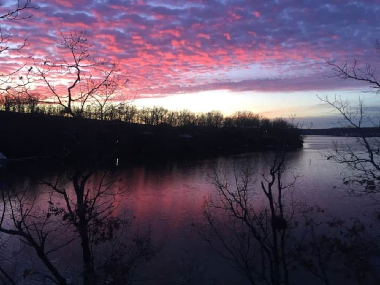 Where the trees meet the lake. Your perfect getaway awaits!