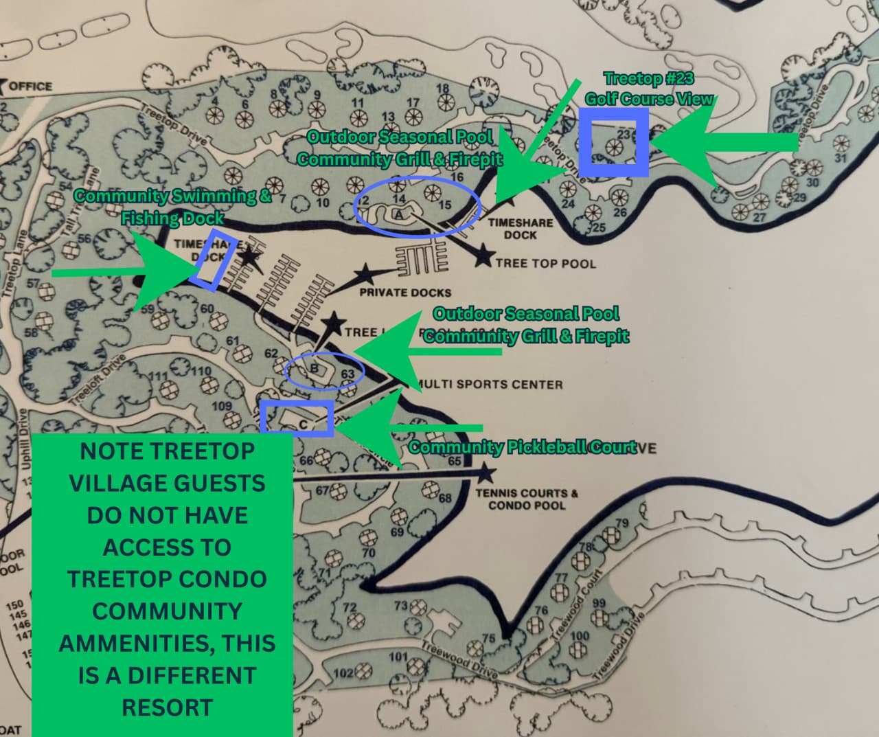 TreetopMap#23.png
