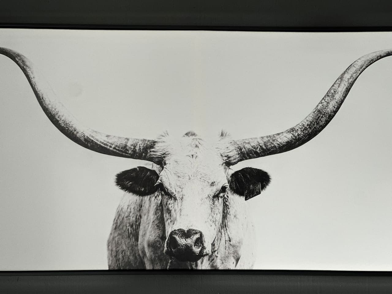 Bold western artwork adds character to the bedroom.
