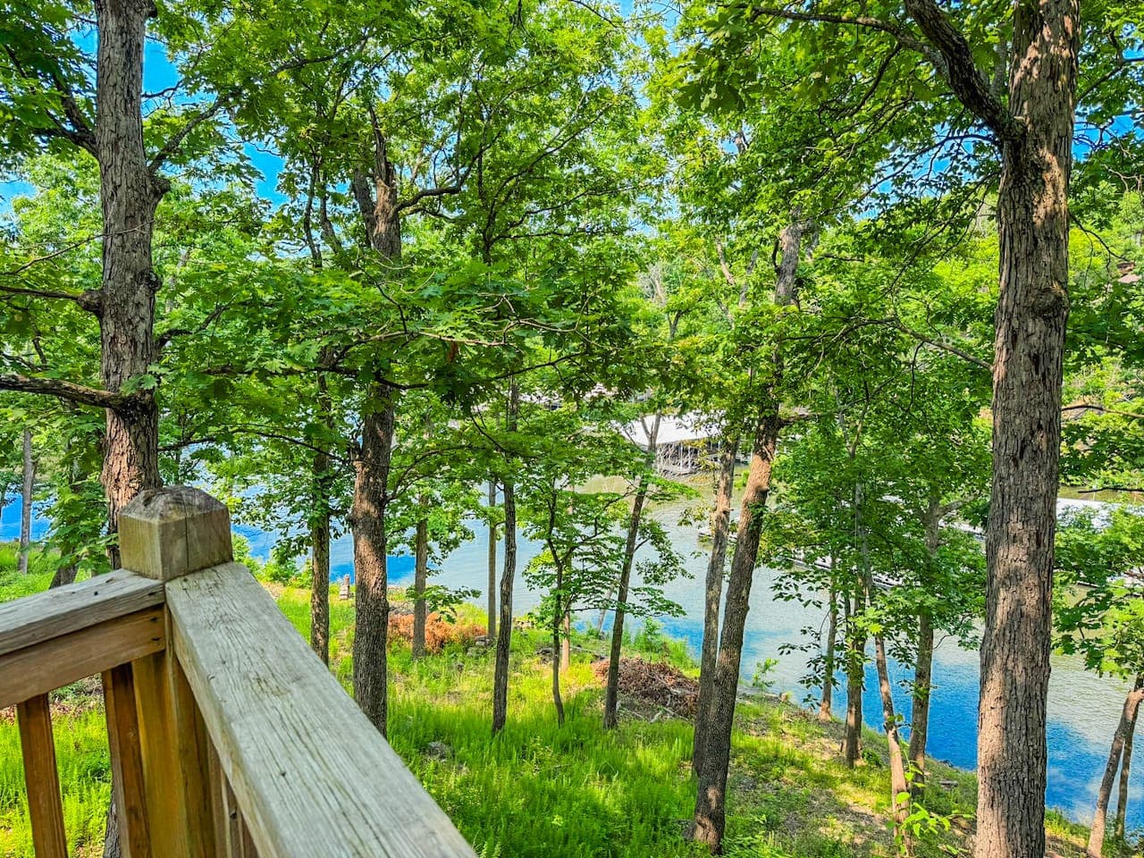 Your private deck opens to a peaceful, tree-filled view—nature is right outside your door.