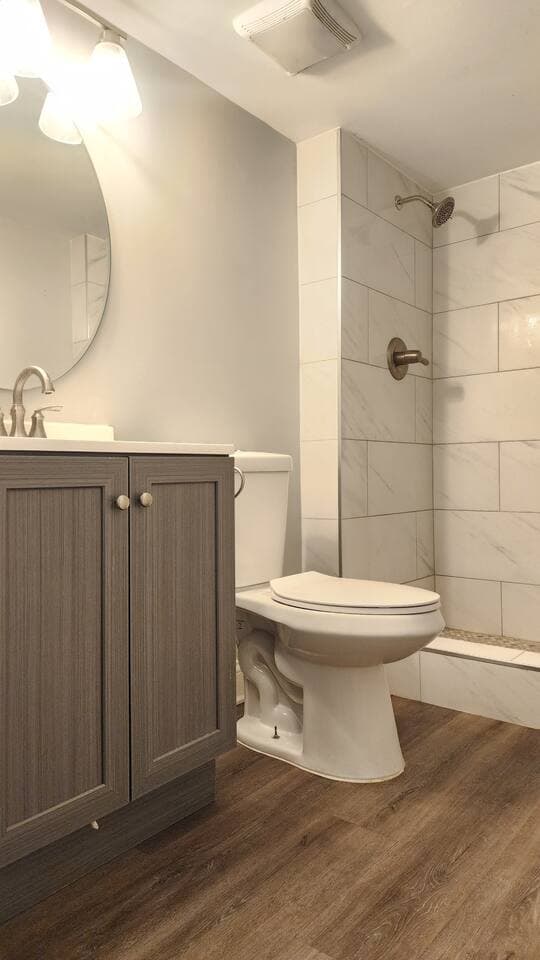 Lower Level bathroom