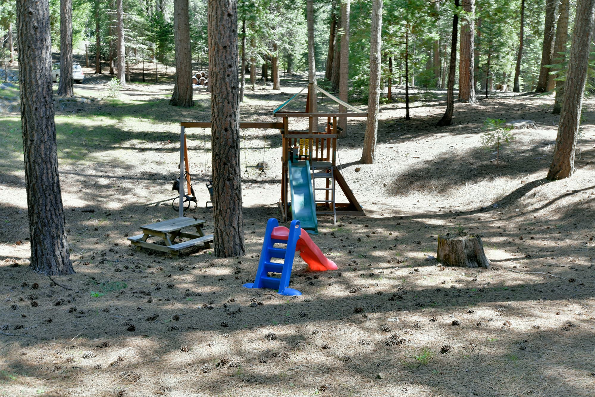 Explore the playground