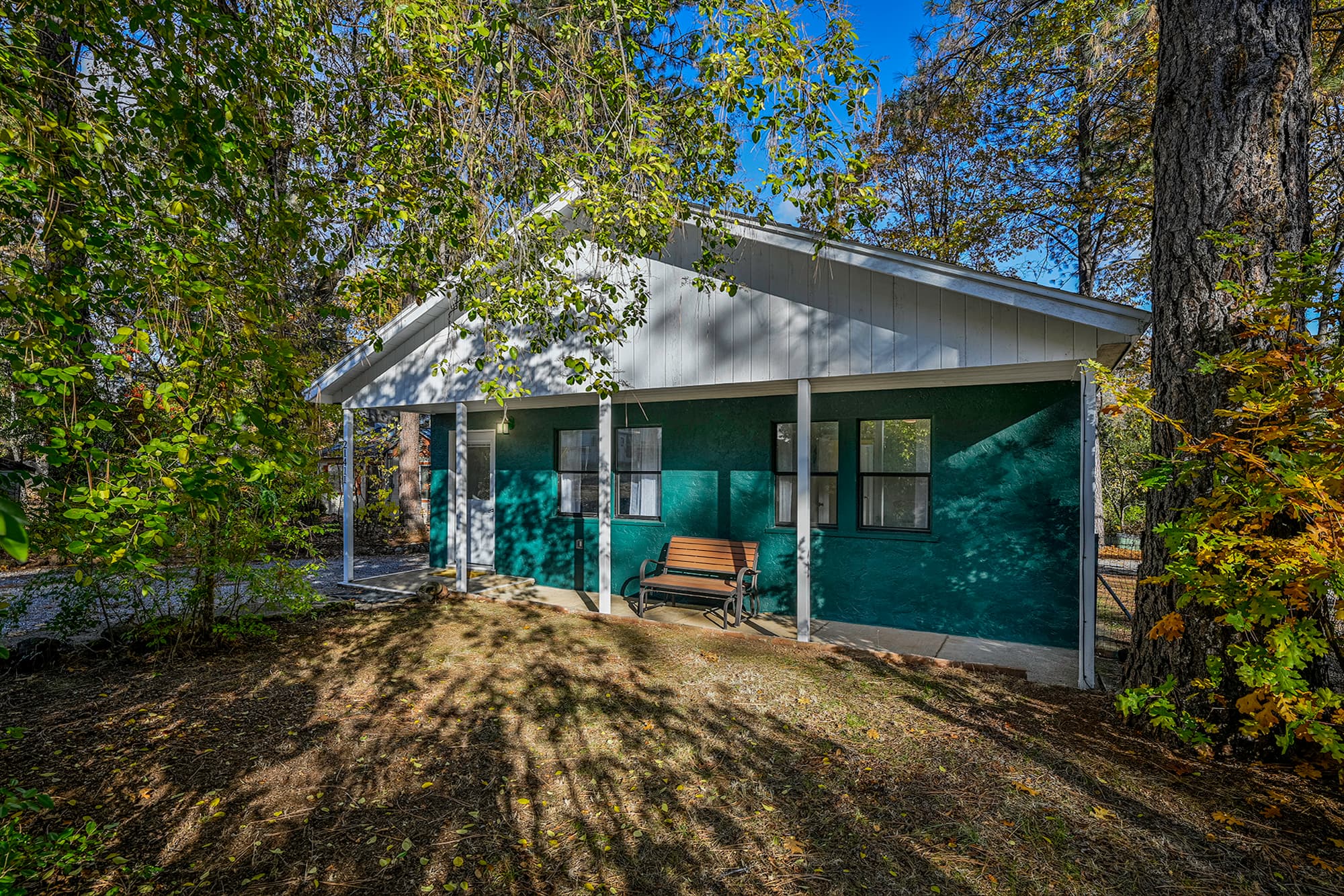 The front yard