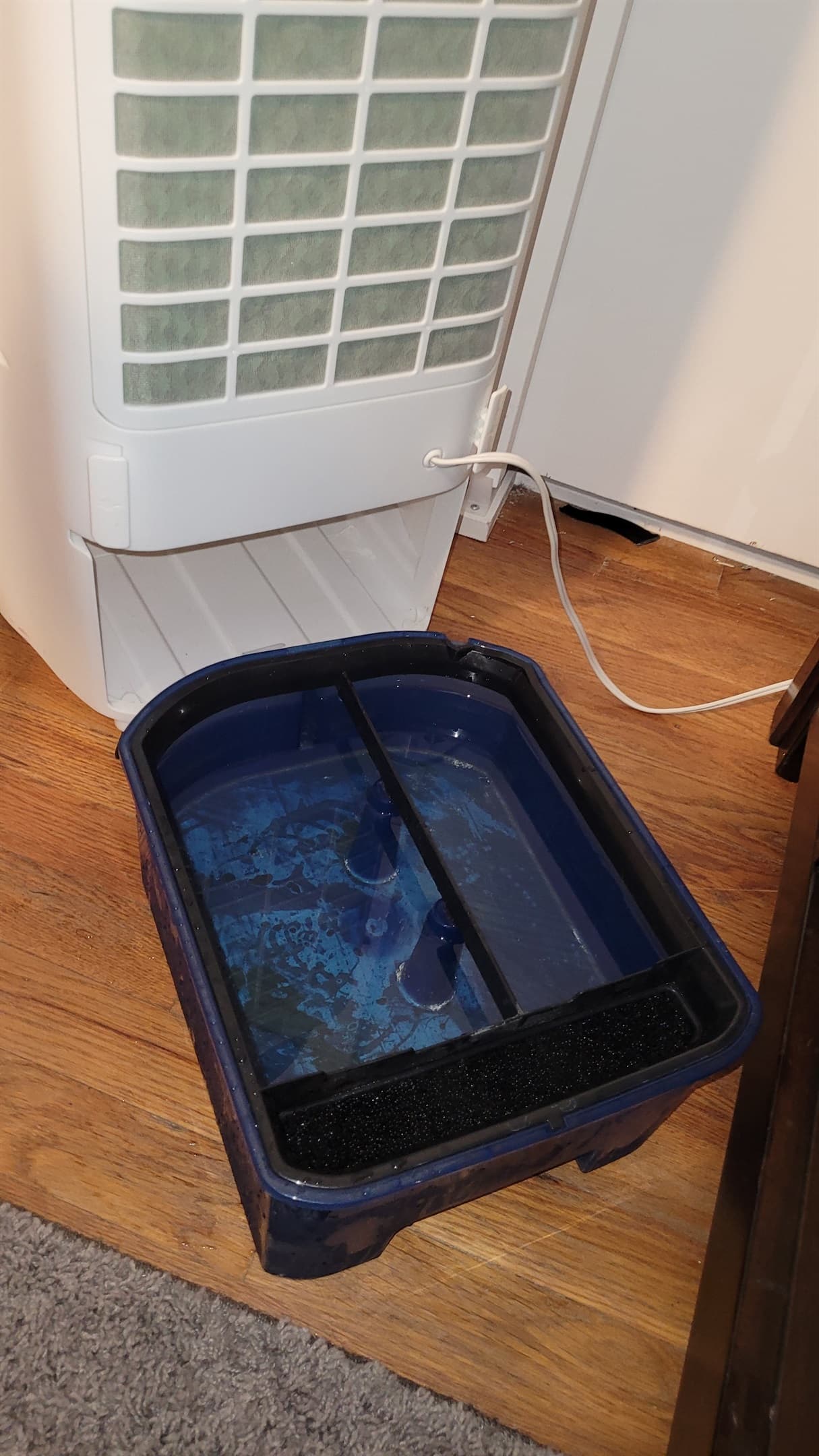 Fill cooler with water and Ice block