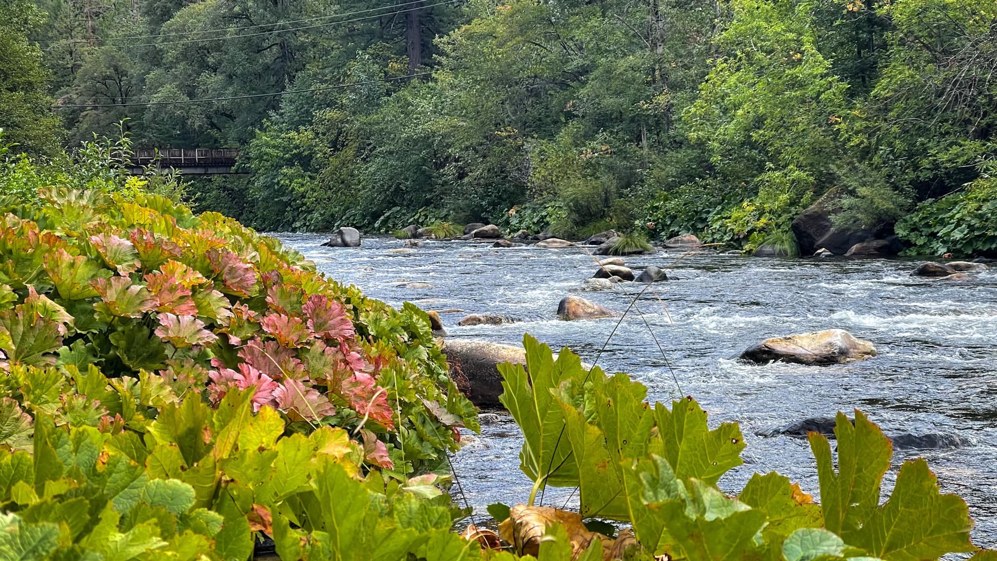 Near the Sacramento river.
