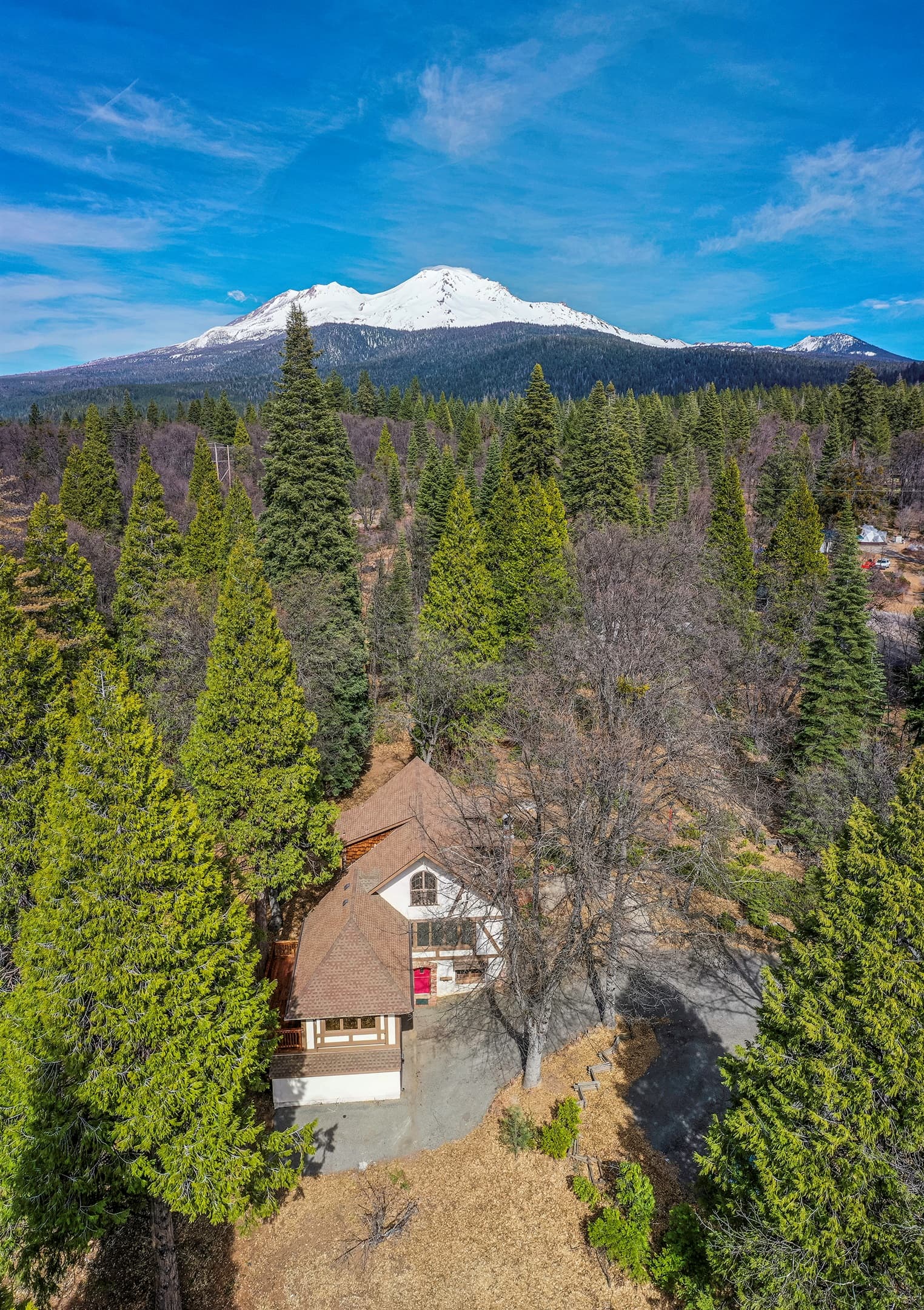Mt. Shasta