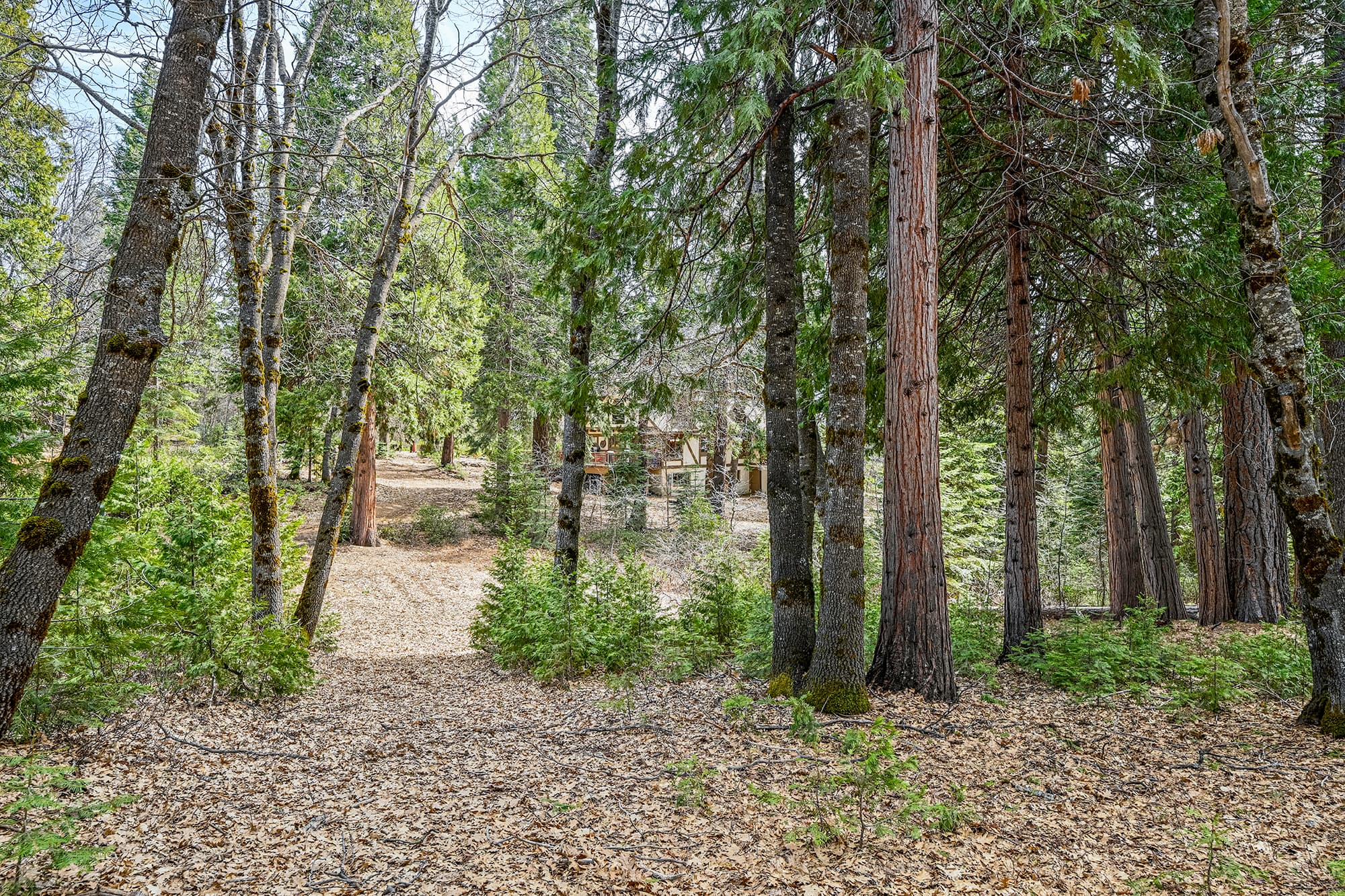 The Grounds