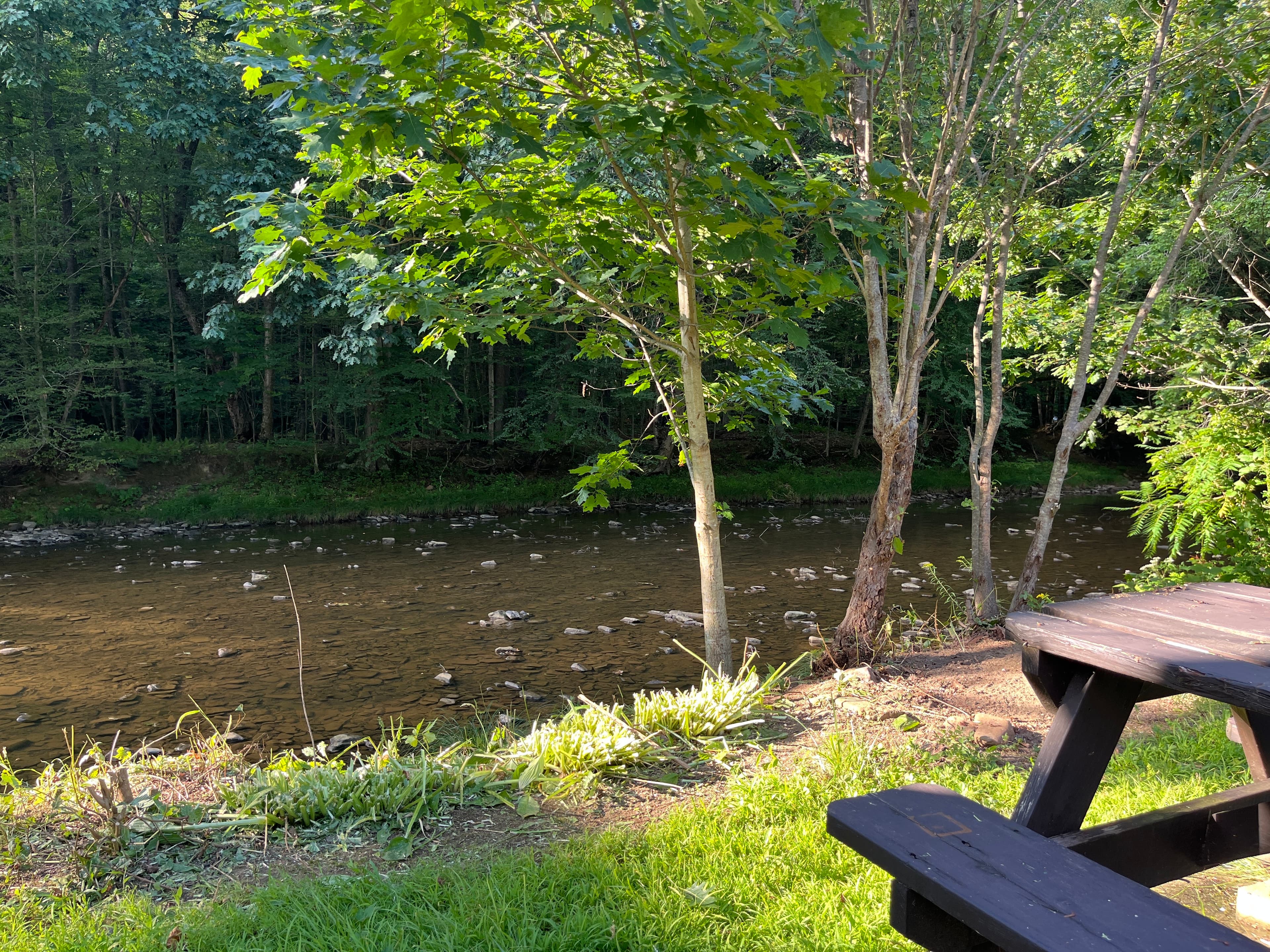 Guests with toddlers please note: There is a steep drop off to the creek. Water flow fluctuates. 