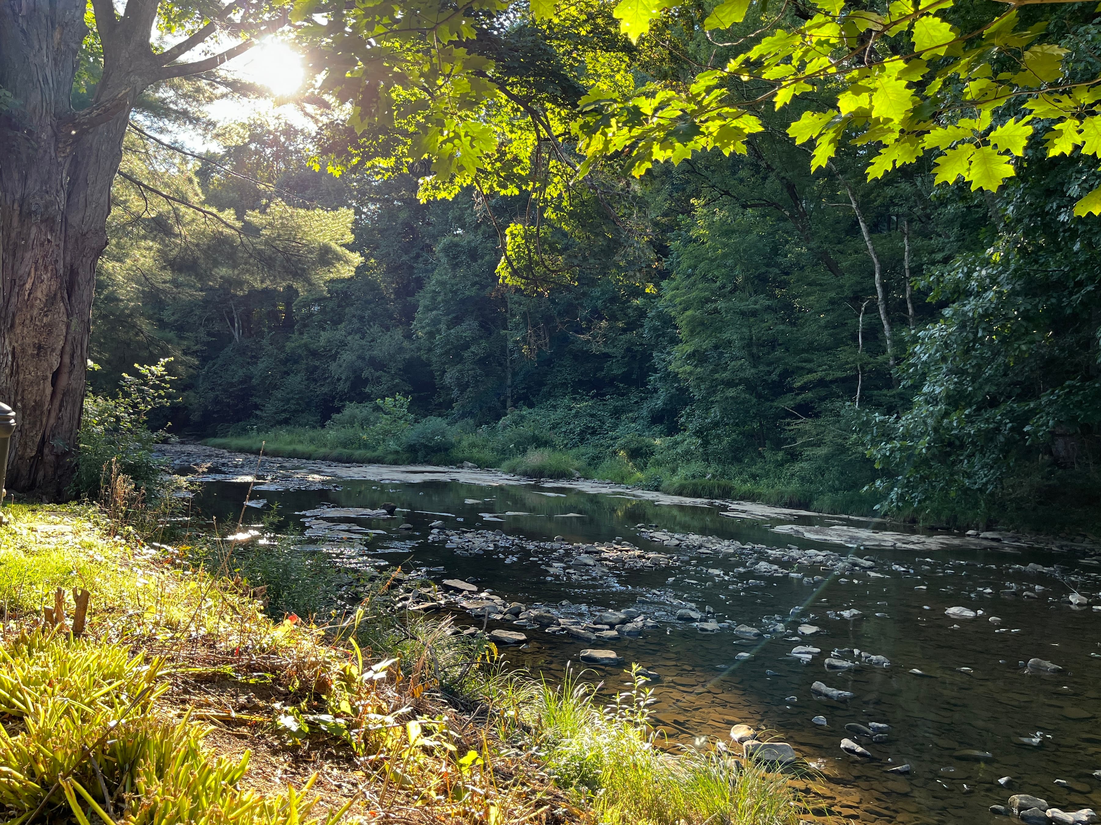 Note: The creek's depth and flow vary depending on the month/season. Spring is usually the highest. 