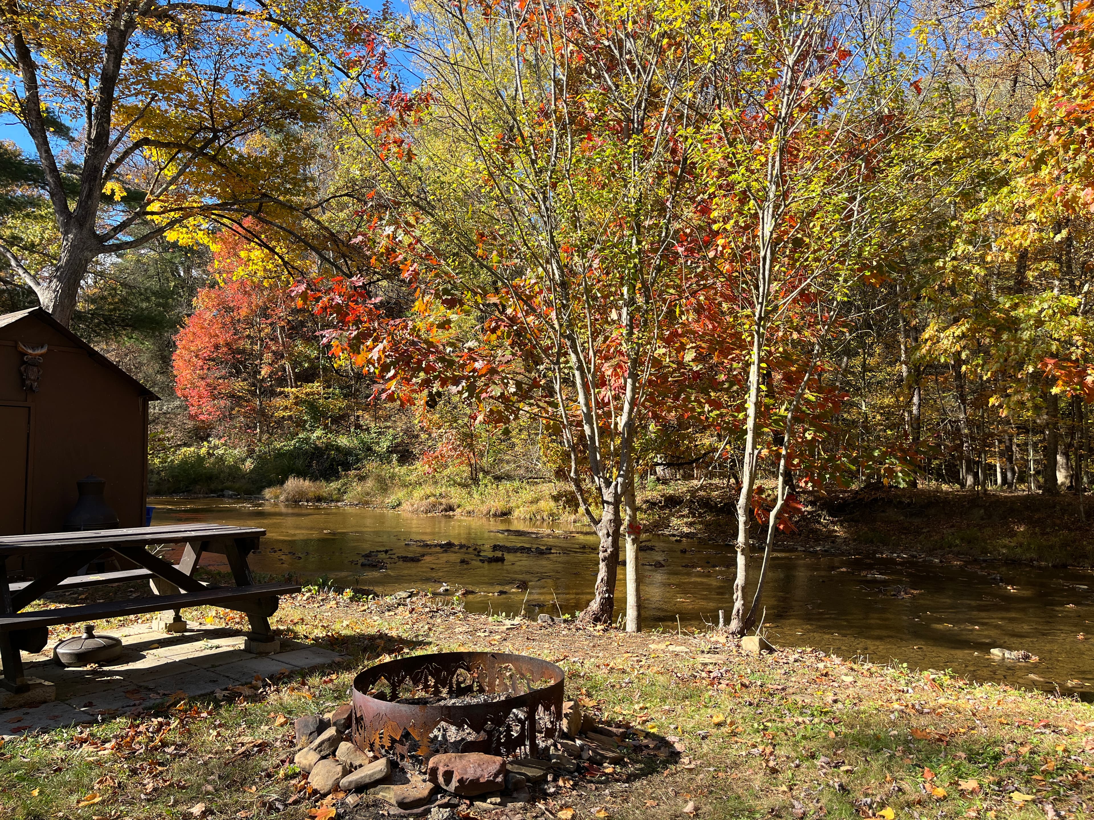 The Picnic table and view from the back yard! 