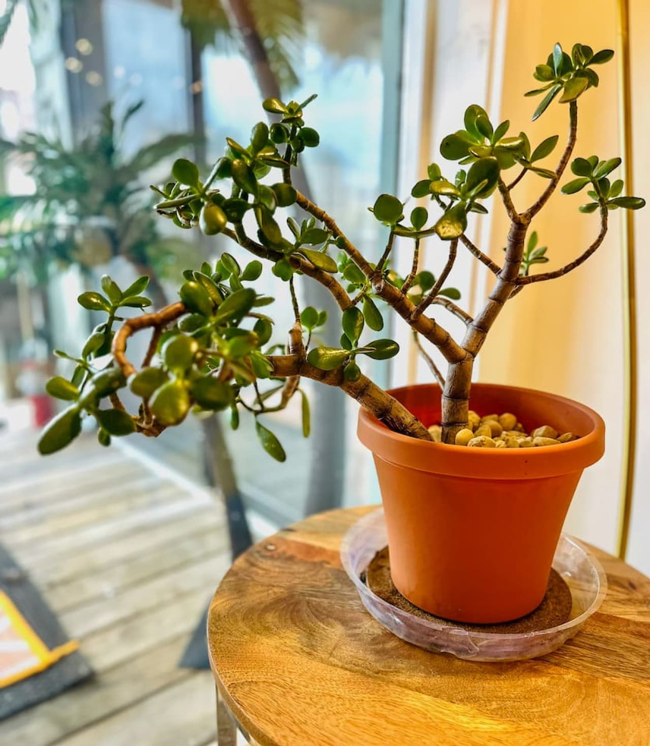 Bring the outdoors in with lush greenery adding charm to your lakefront escape.