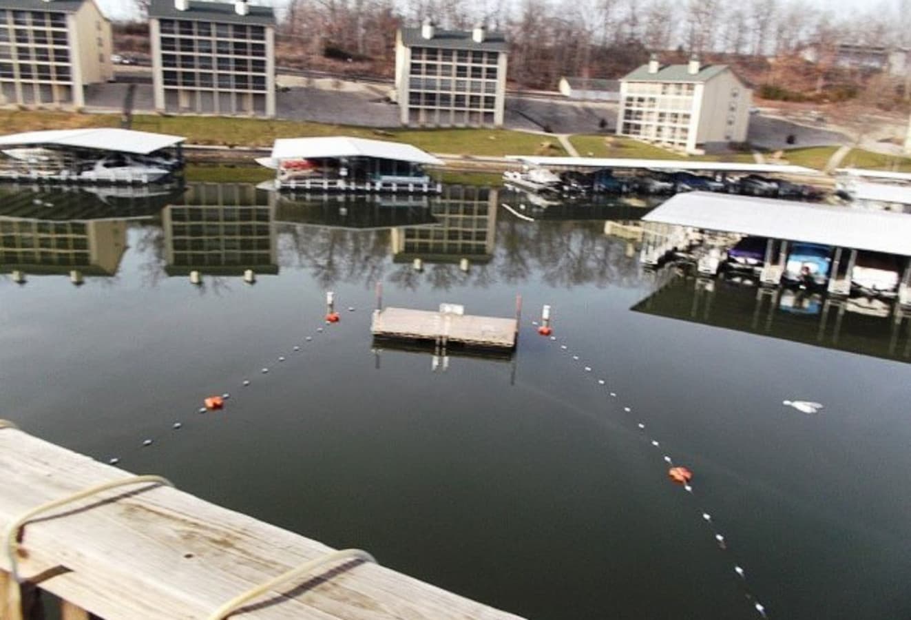 A peaceful view of the lake, complete with swimming access and dockside charm—perfect for relaxation or water adventures.