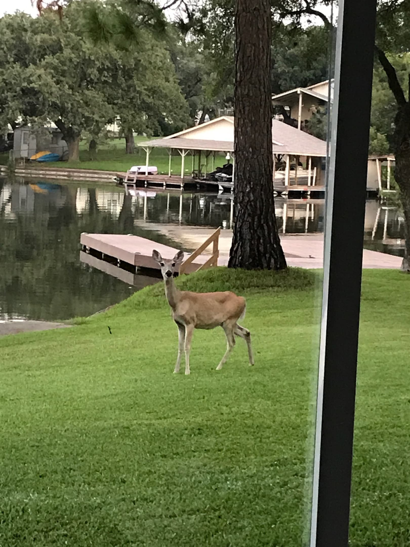 One of our local friends