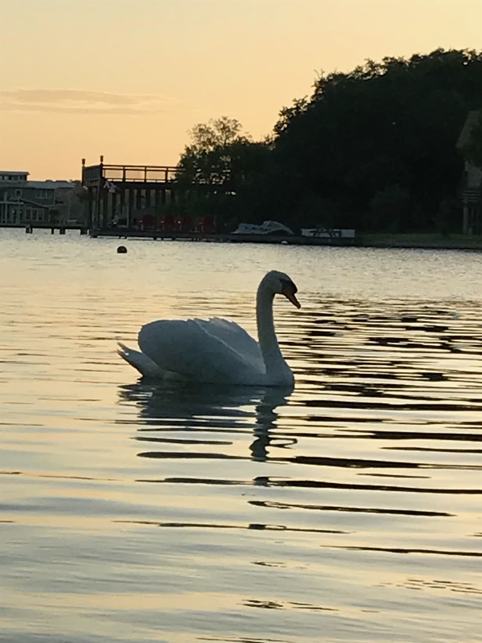 Gallery Image 65