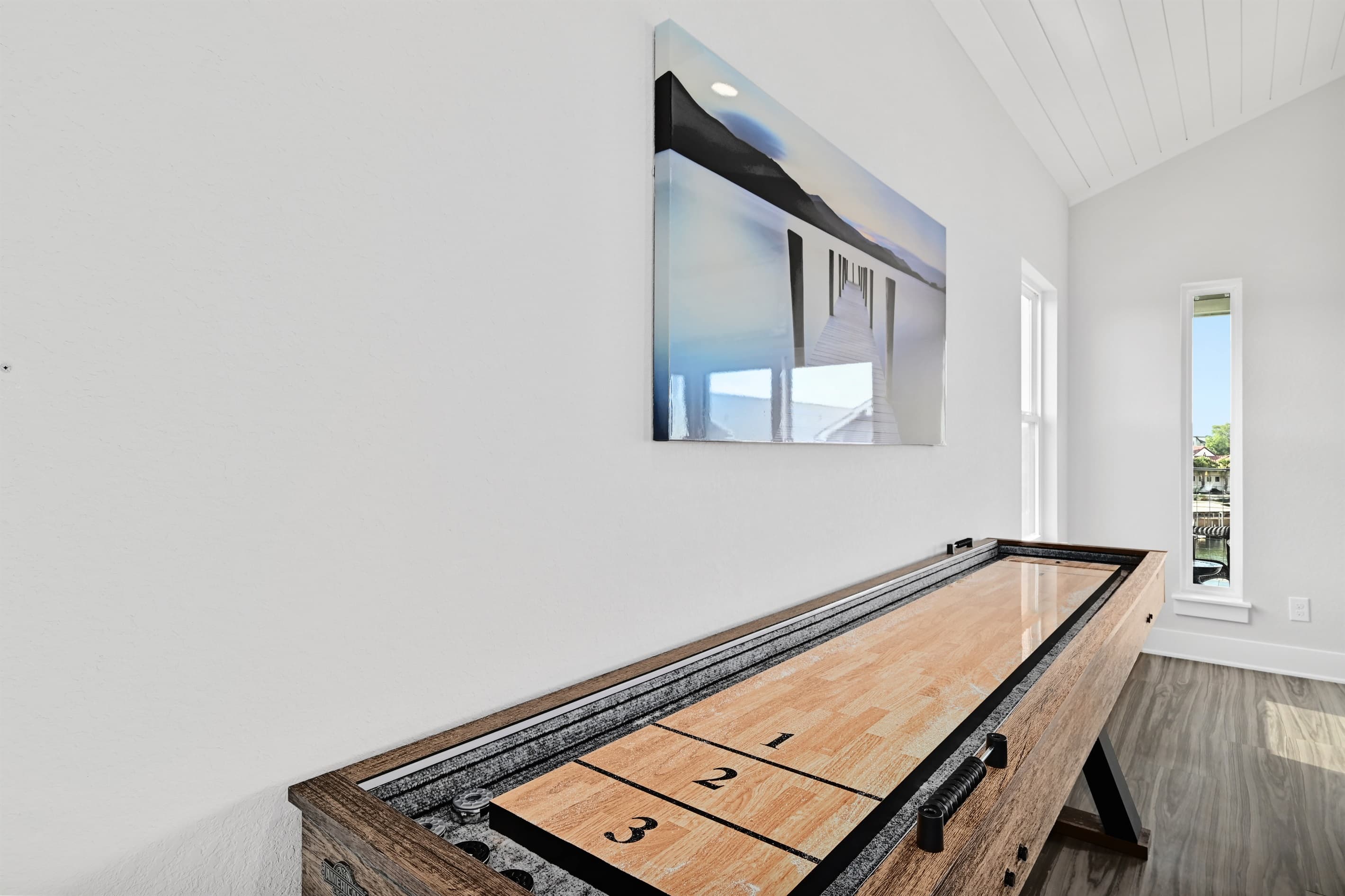 Shuffleboard