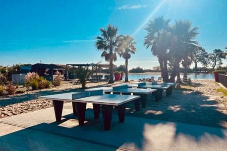 Ping-pong