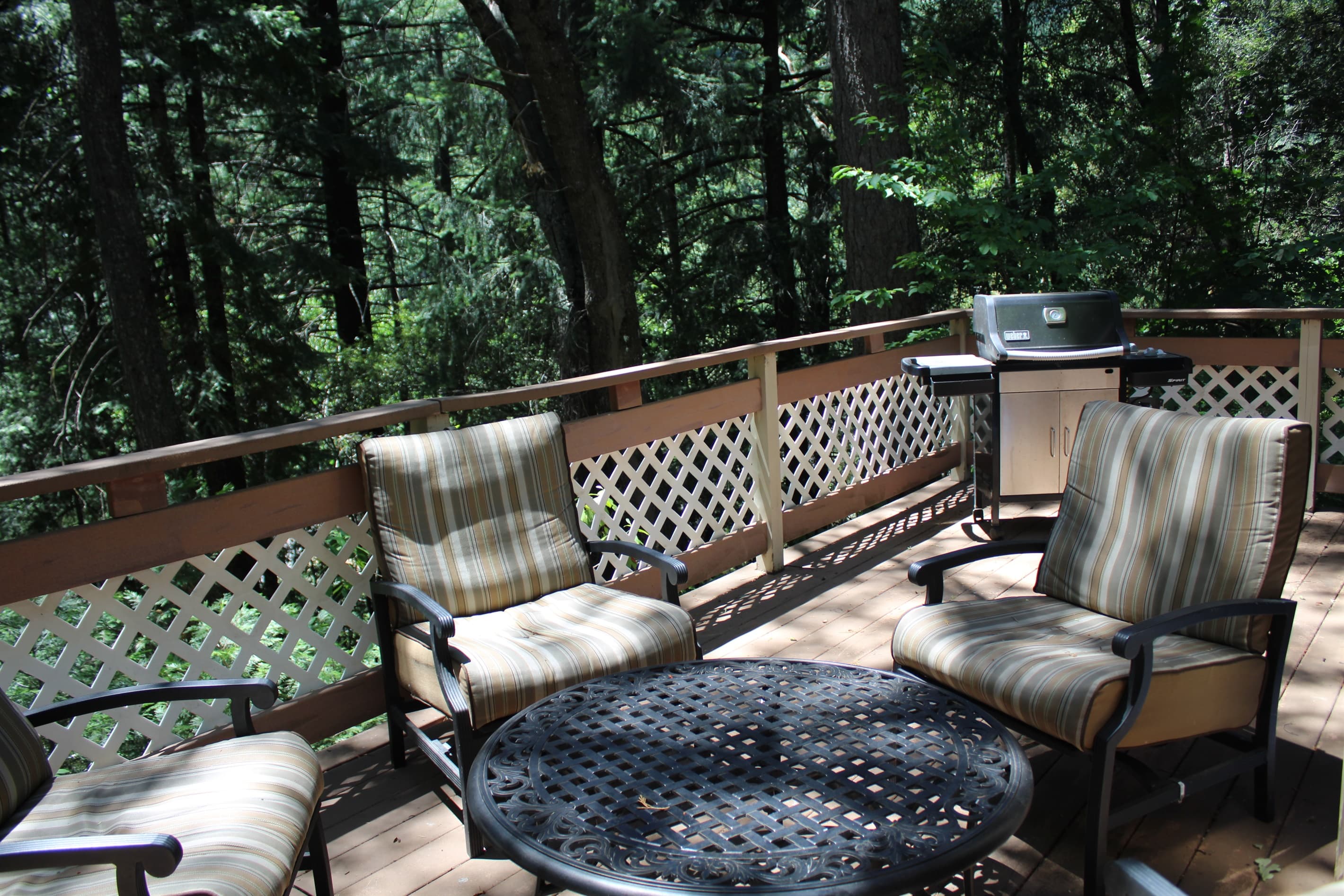 Back patio over looking the trees