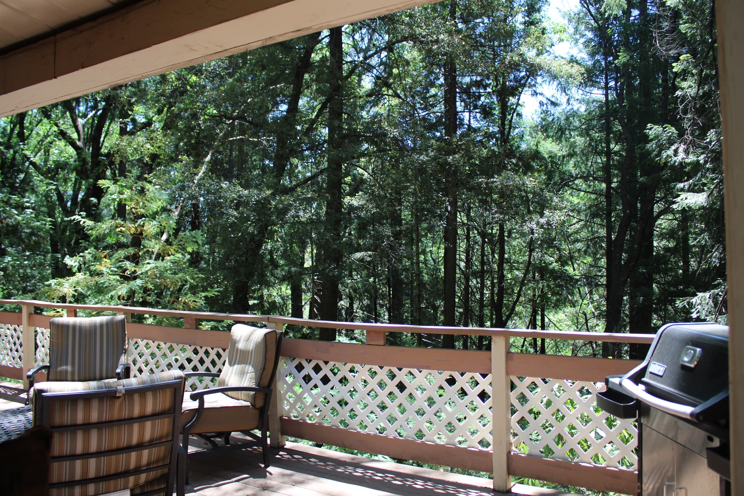 Back patio over looking the trees