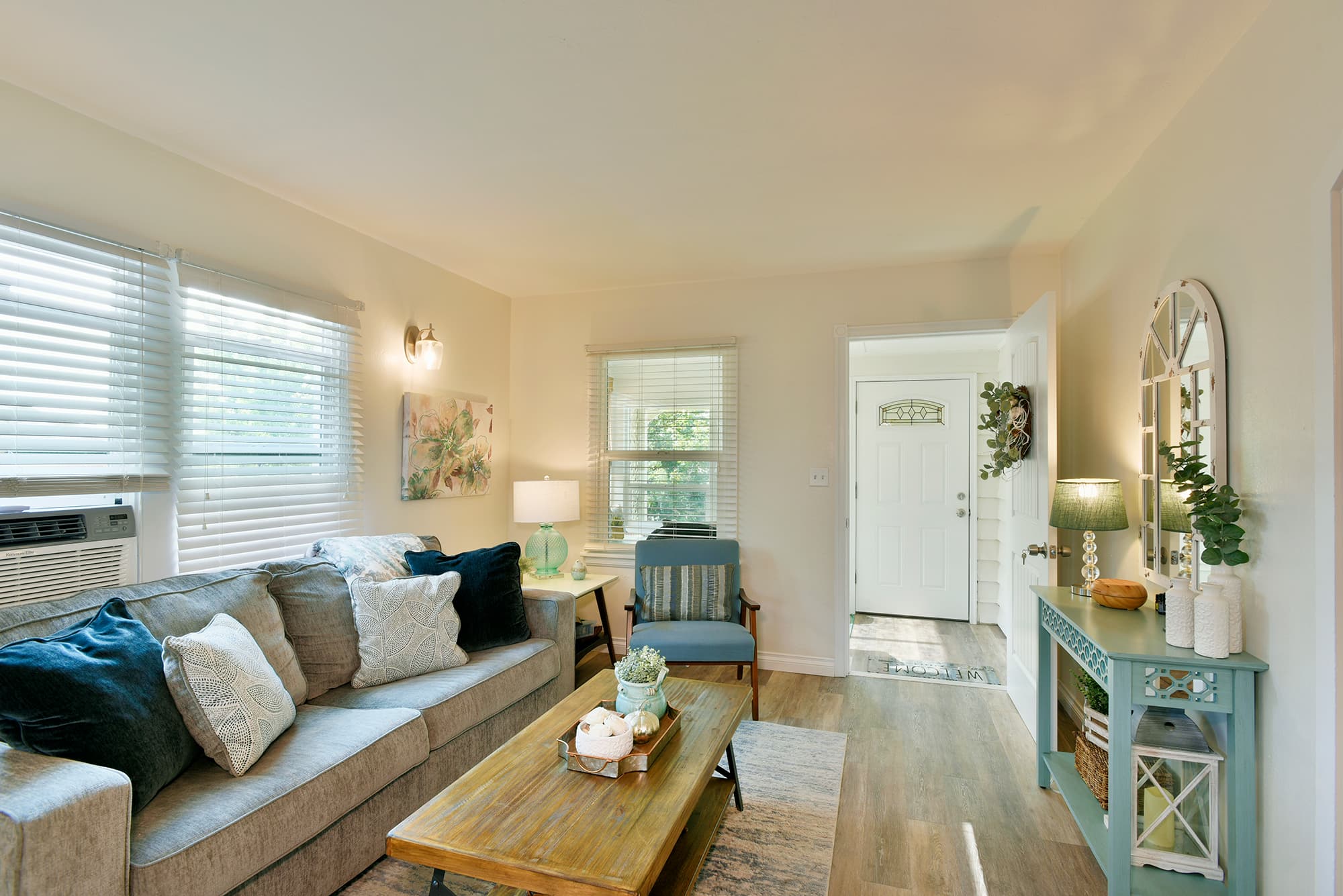Living room / Sleeper Sofa