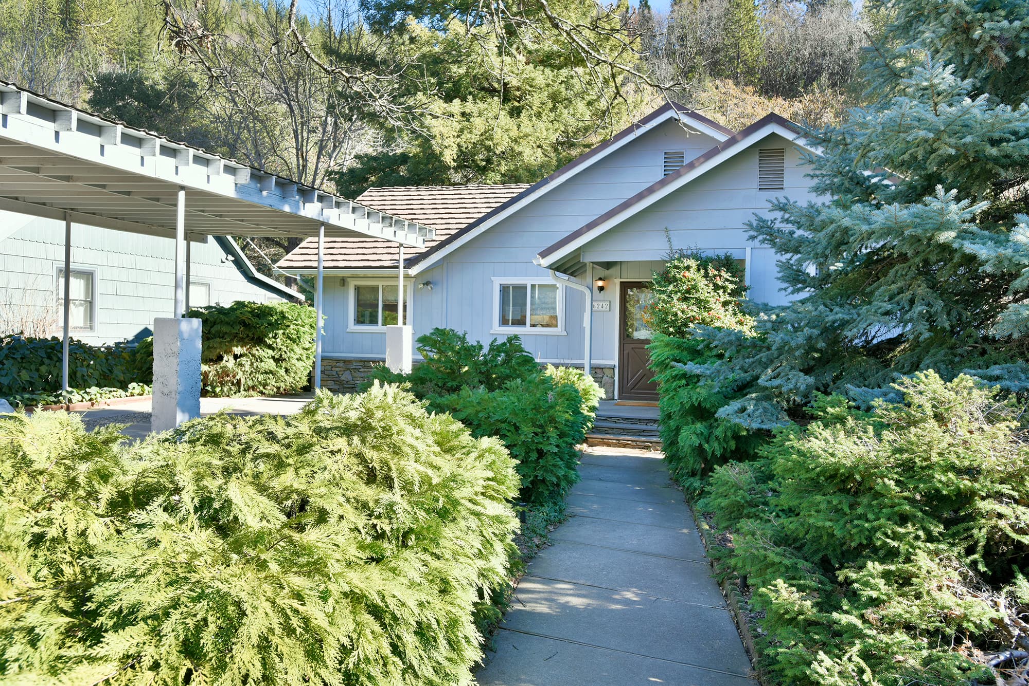 Front yard