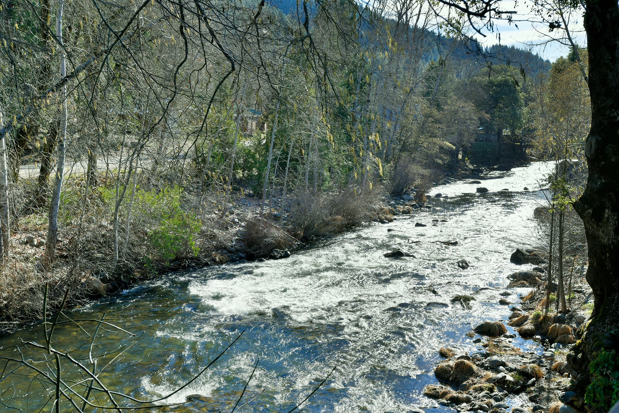 Down river view